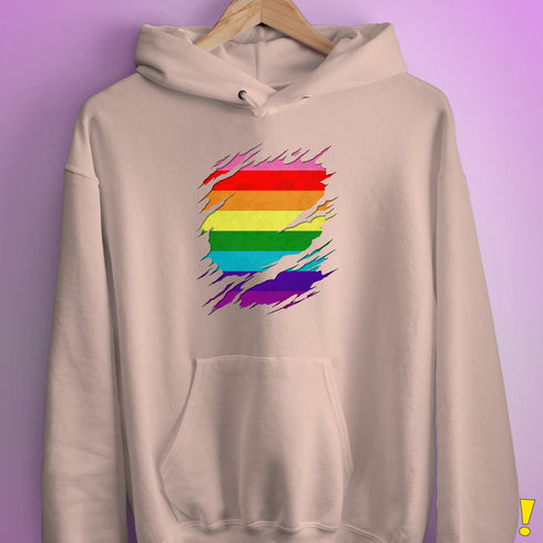 Original Gilbert Baker LGBTQ Gay Pride Flag Ripped Reveal Hoodie - Light Pink